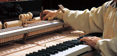Piano technician regulating a grand piano 